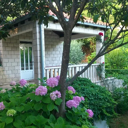 Zeko Rozat Mokosica
